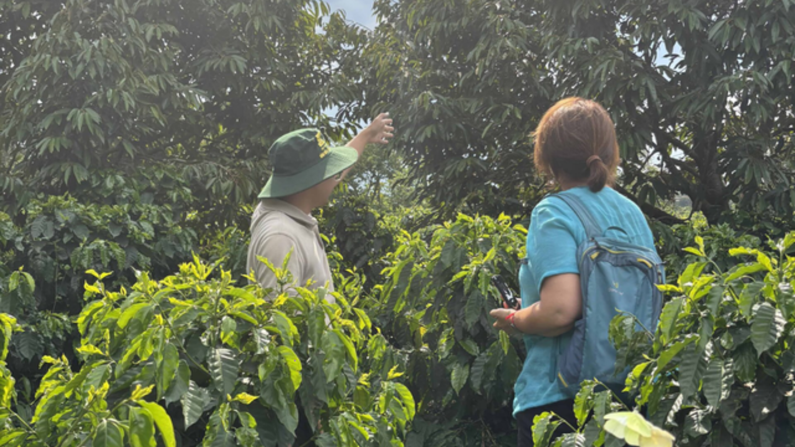 Tour Vườn Cà Phê Đắk Lắk – Hương Vị Tây Nguyên